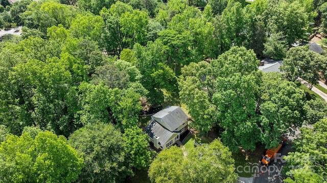 6713 William Harry Ct, Charlotte, NC 28211 - drone / aerial view of a heavily wooded area