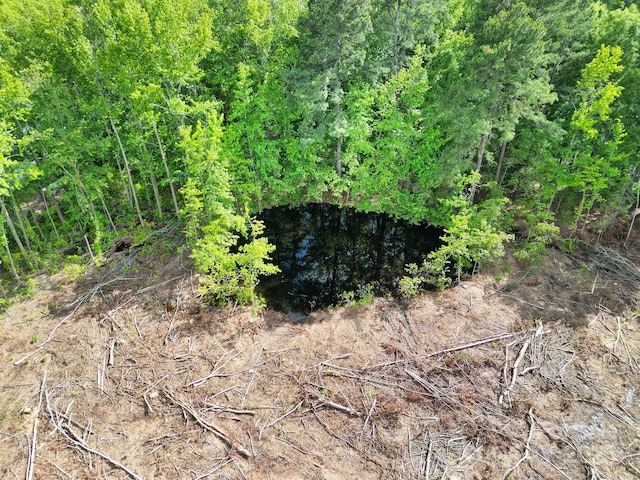 1166 Rocky River Rd, Lancaster, SC 29720 - view of undeveloped land