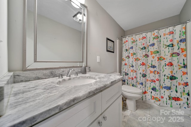 1166 Rocky River Rd, Lancaster, SC 29720 - full bath with a shower with curtain, toilet, and vanity