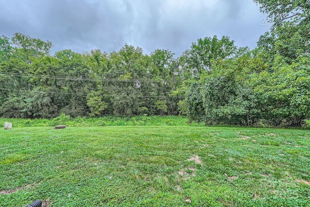 view of grassy yard featuring a view of trees