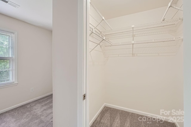 walk in closet featuring carpet floors