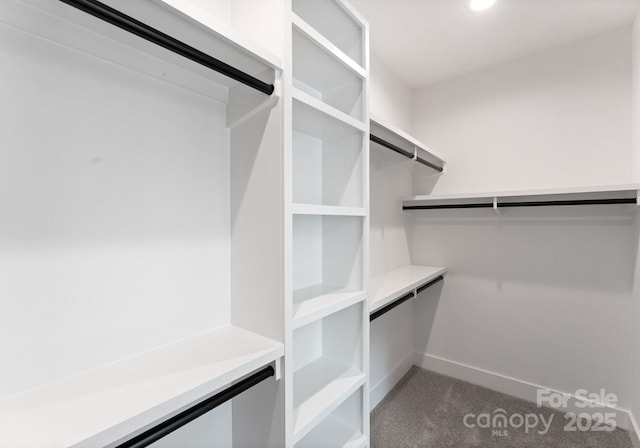 2006 St John St, Charlotte, NC 28216 - walk in closet featuring carpet floors