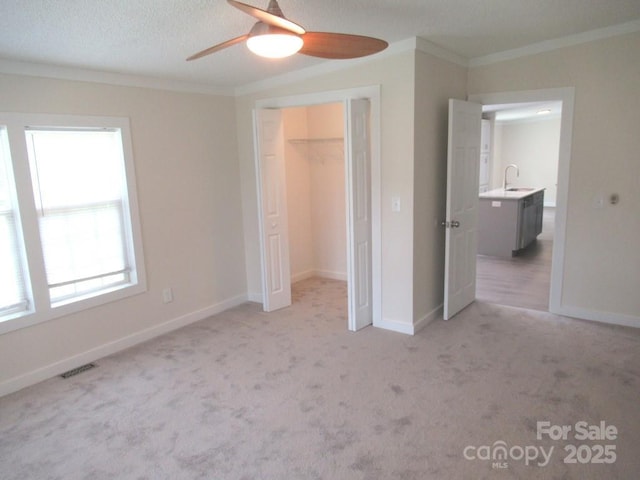 3315 Buffalo Shoals Rd, Newton, NC 28658 - unfurnished bedroom with ornamental molding, a sink, light carpet, baseboards, and a closet