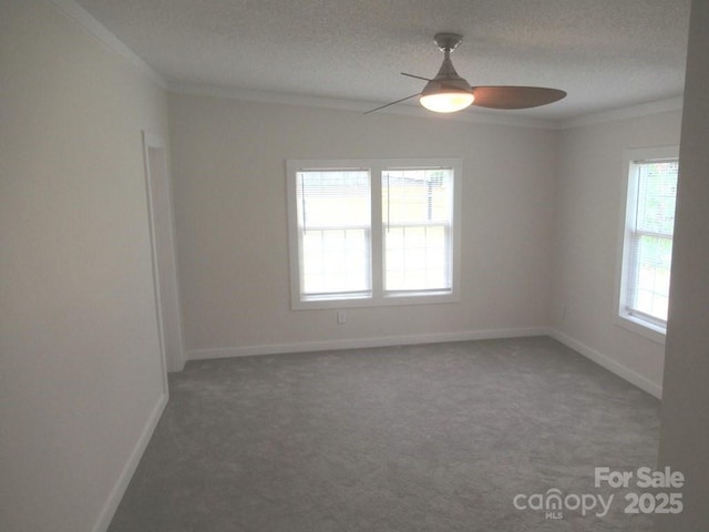 3315 Buffalo Shoals Rd, Newton, NC 28658 - carpeted spare room with ornamental molding, a ceiling fan, baseboards, and a textured ceiling
