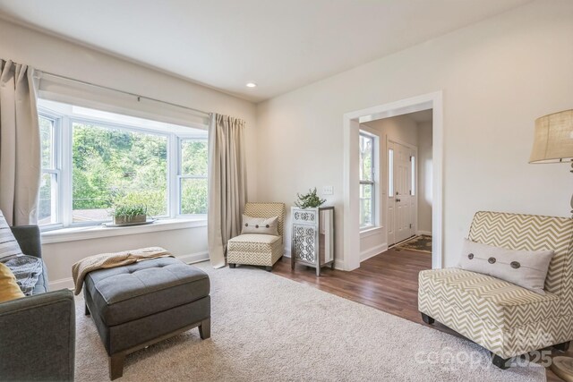 274 Old Bristol Rd, Boone, NC 28607 - living area with baseboards, wood finished floors, carpet floors, and recessed lighting
