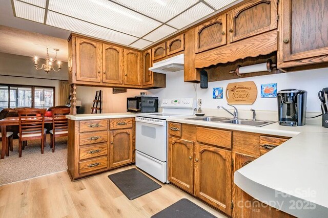 kitchen with white range with electric stovetop, under cabinet range hood, brown cabinetry, a sink, and light wood-type flooring
