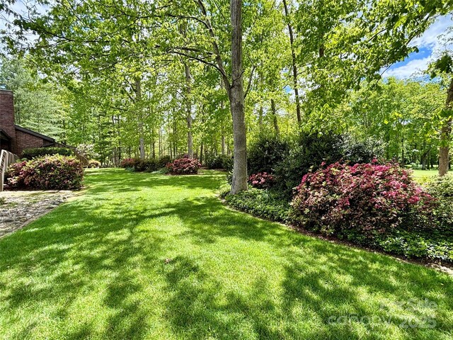 view of green lawn