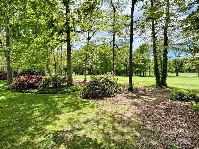 view of green lawn
