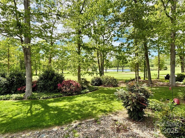 view of grassy yard with a water view and view of scattered trees