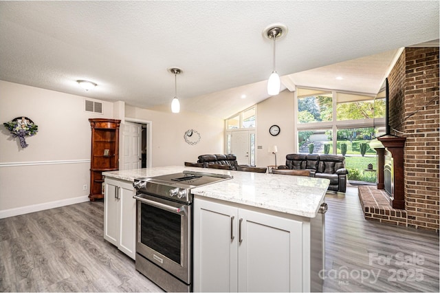 3520 4th Street Blvd NW, Hickory, NC 28601 - kitchen featuring stainless steel electric stove, light wood-style flooring, open floor plan, a center island, and vaulted ceiling