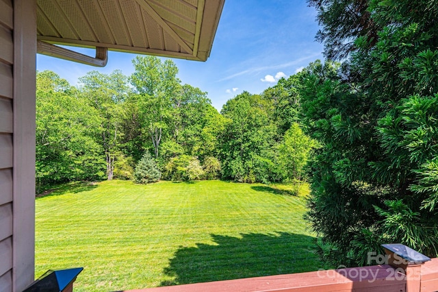 3520 4th Street Blvd NW, Hickory, NC 28601 - view of grassy yard