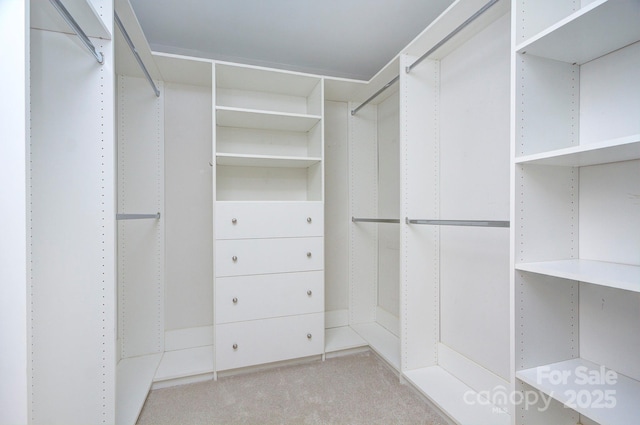 walk in closet with light colored carpet