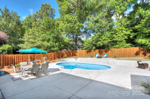 view of swimming pool featuring a patio, a fenced backyard, and view of scattered trees