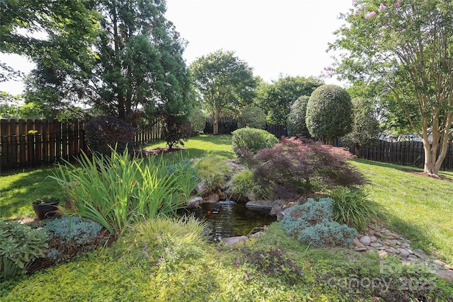 10217 Falling Leaf Dr, Concord, NC 28027 - view of yard with a garden pond
