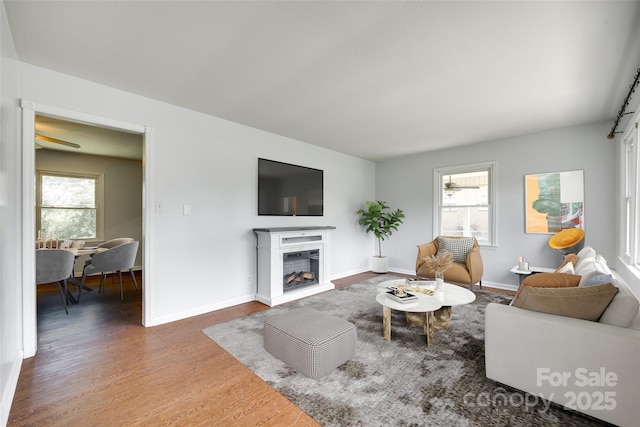 living area featuring wood finished floors, baseboards, and a fireplace