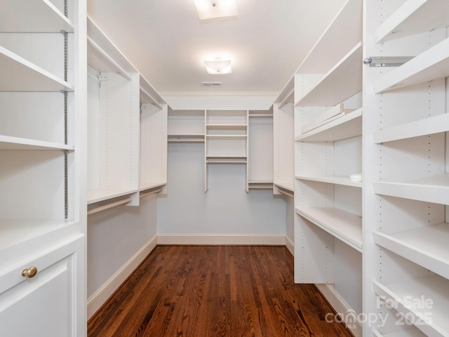 walk in closet with dark wood finished floors