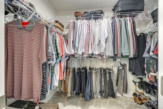 view of walk in closet