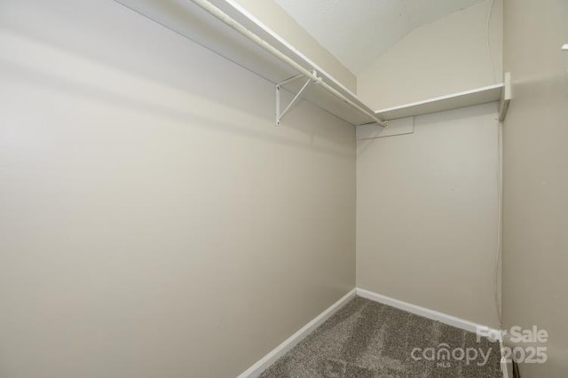 walk in closet featuring carpet flooring and lofted ceiling