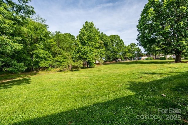 view of green lawn