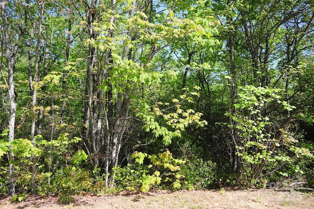 99999 Mountain Falls Trl Unit 71, Black Mountain, NC 28711