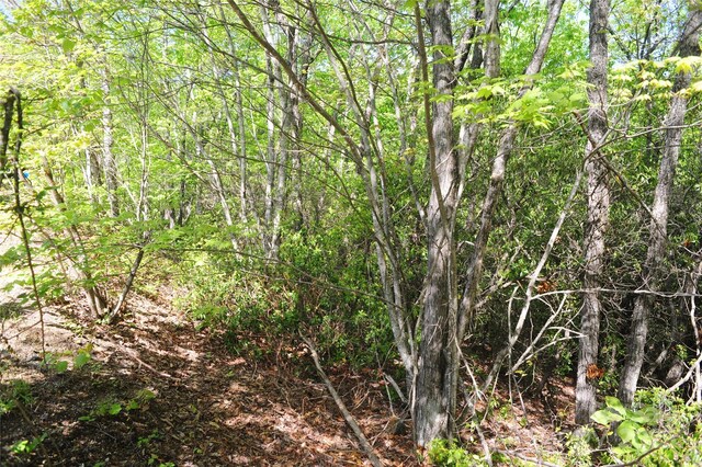 99999 Mountain Falls Trl Unit 71, Black Mountain, NC 28711