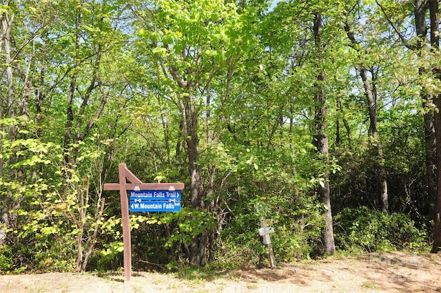 99999 Mountain Falls Trl Unit 71, Black Mountain, NC 28711