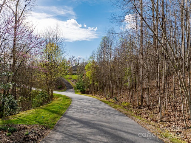 770 Somersby Pkwy, Hendersonville, NC 28739