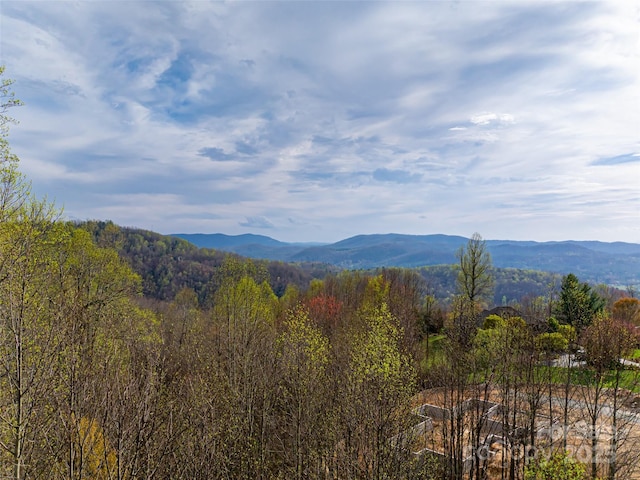 770 Somersby Pkwy, Hendersonville, NC 28739