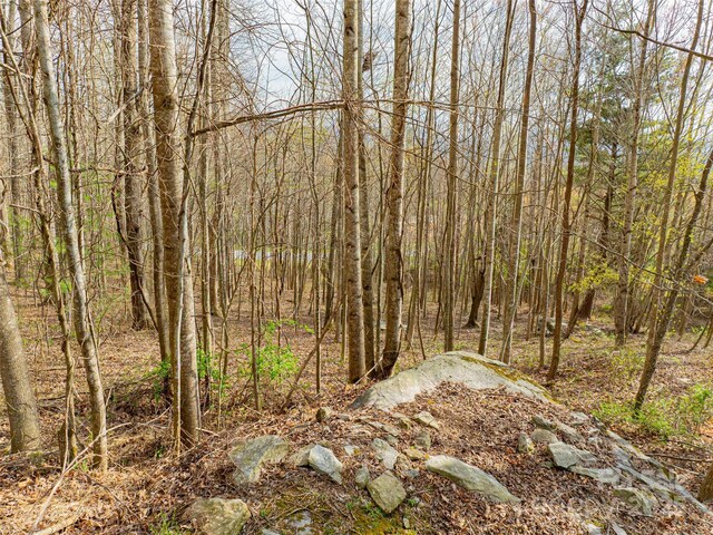 770 Somersby Pkwy, Hendersonville, NC 28739