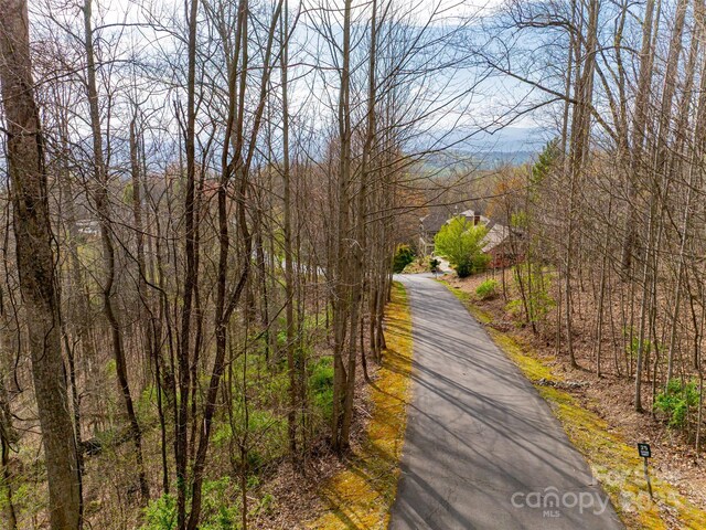 770 Somersby Pkwy, Hendersonville, NC 28739