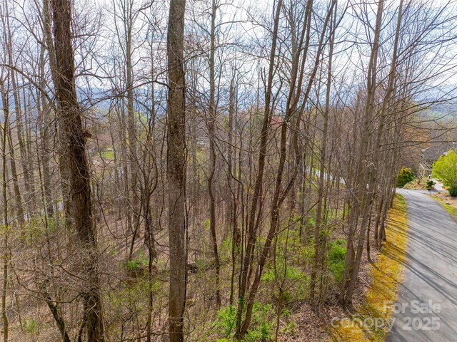 770 Somersby Pkwy, Hendersonville, NC 28739
