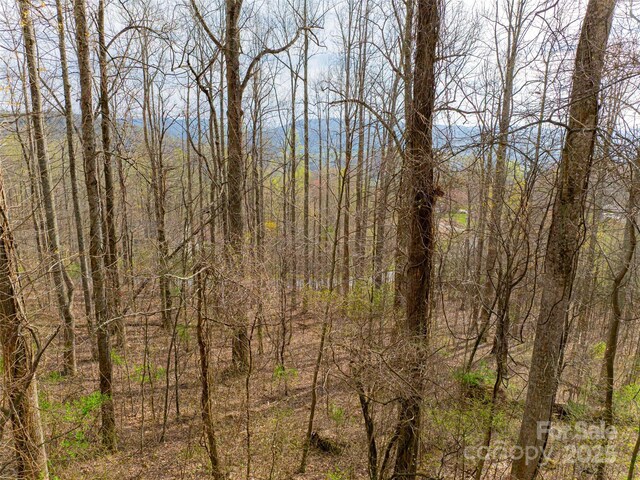 770 Somersby Pkwy, Hendersonville, NC 28739