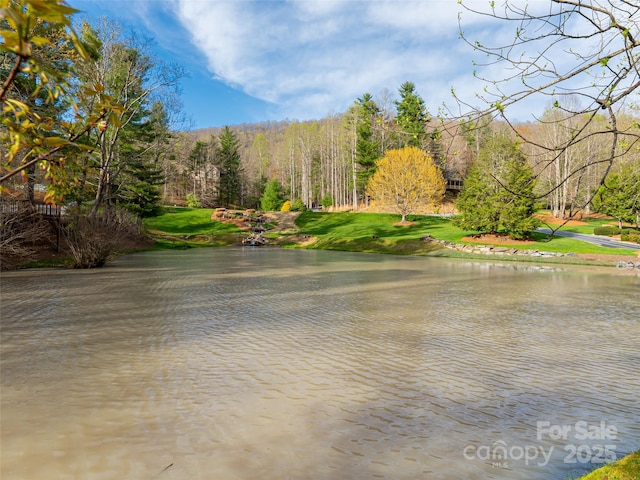 770 Somersby Pkwy, Hendersonville, NC 28739