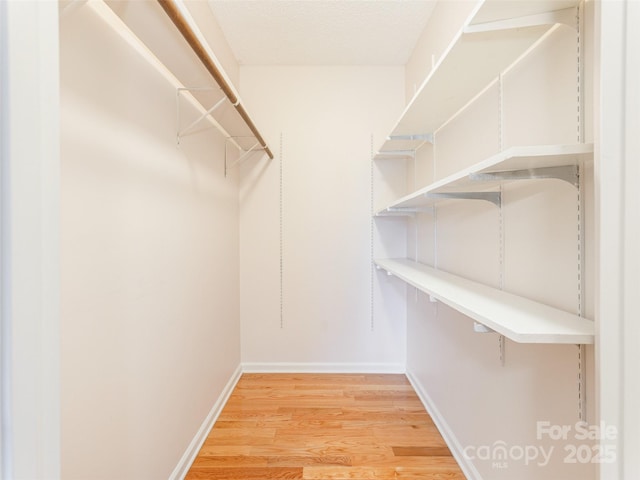 55 Willow Bnd, Hendersonville, NC 28792 - walk in closet with light wood-style flooring