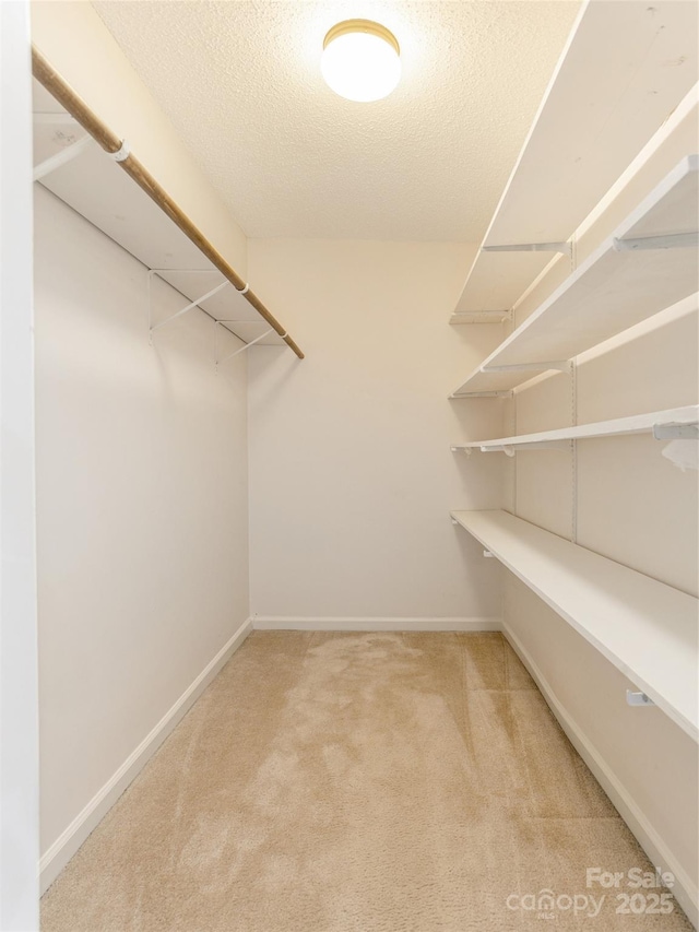 55 Willow Bnd, Hendersonville, NC 28792 - walk in closet featuring carpet