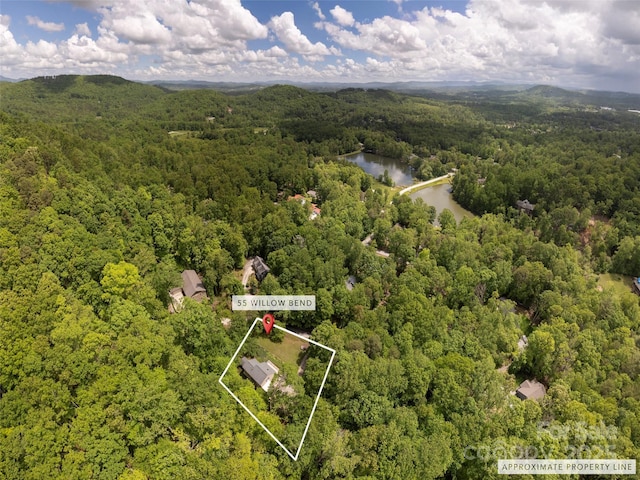 55 Willow Bnd, Hendersonville, NC 28792 - view of property location featuring a forest, a nearby body of water, and property parcel outlined
