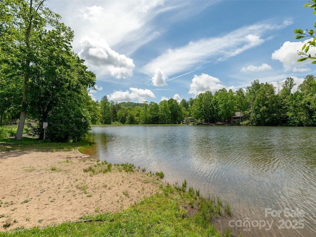 55 Willow Bnd, Hendersonville, NC 28792 - photo 31