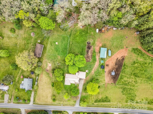 bird's eye view