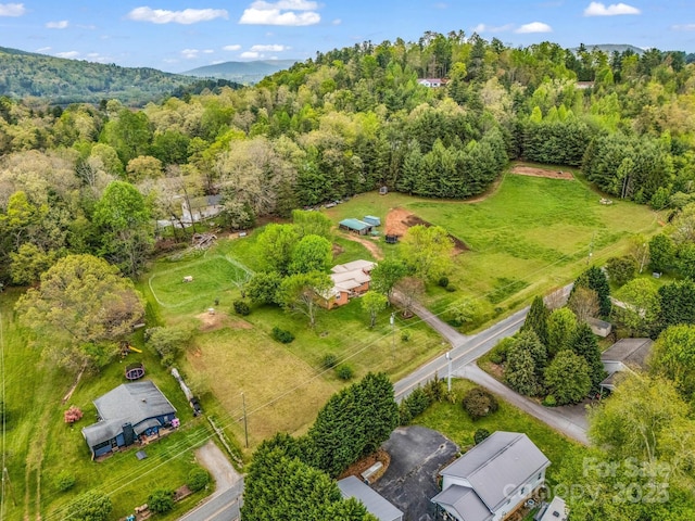 aerial view of a forest