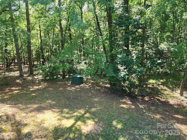 4409 Homestead Rd, Rock Hill, SC 29732 - view of local wilderness