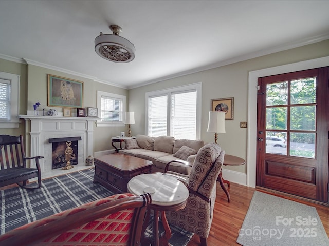 907 Edgewood Cir, Gastonia, NC 28052 - living area featuring crown molding, baseboards, wood finished floors, and a fireplace with flush hearth