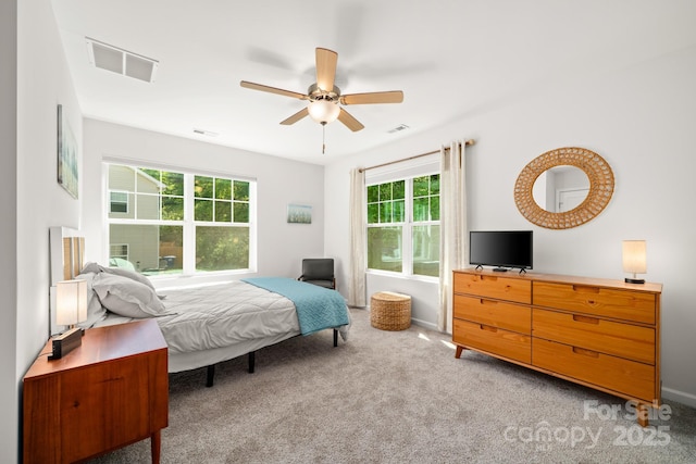 31 Cherry Laurel Ln, Swannanoa, NC 28778 - bedroom featuring multiple windows, visible vents, and light colored carpet