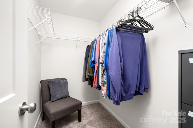 31 Cherry Laurel Ln, Swannanoa, NC 28778 - walk in closet with carpet flooring