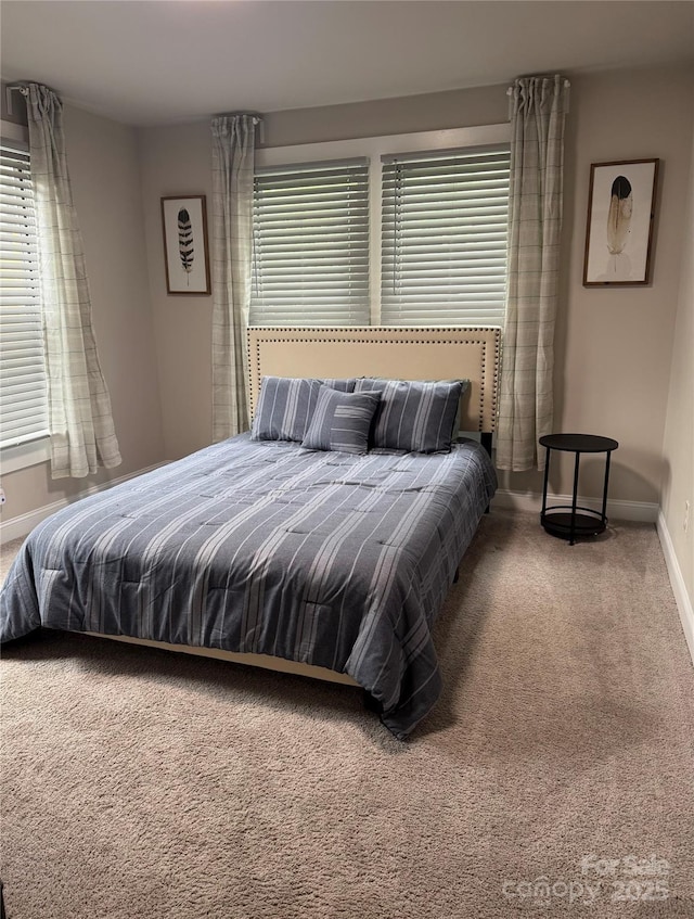 247 E Cabarrus Ave, Concord, NC 28025 - bedroom featuring carpet floors and multiple windows