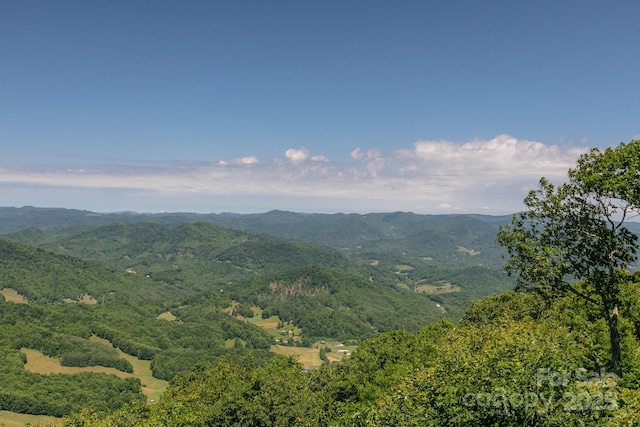 140 Slickrock Rd Unit F3, Burnsville, NC 28714 - property view of mountains