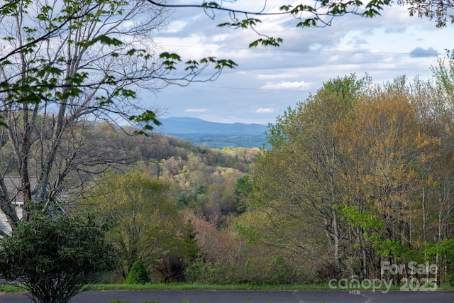 184 Buff Ridge Rd, Boone, NC 28607 - view of mountain background featuring a forest