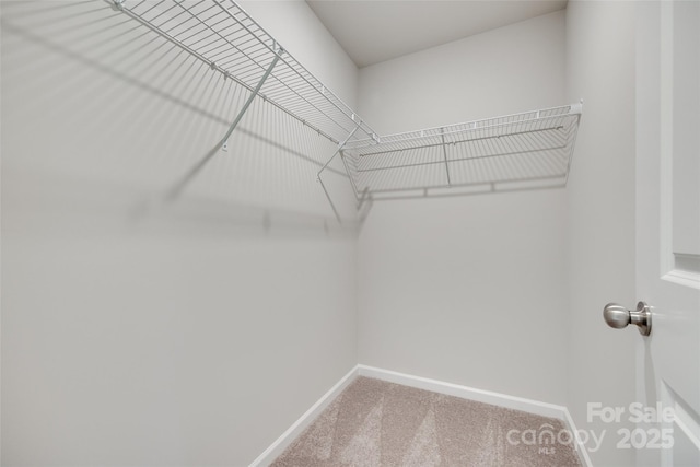 5305 Friendly Baptist Church Rd, Indian Trail, NC 28079 - photo 25