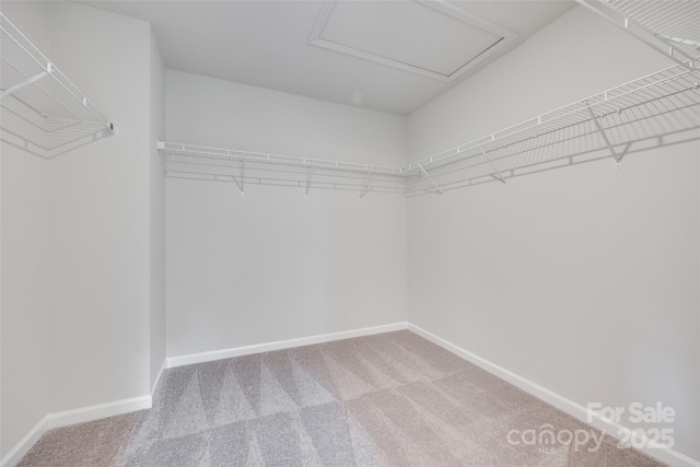 5305 Friendly Baptist Church Rd, Indian Trail, NC 28079 - photo 26