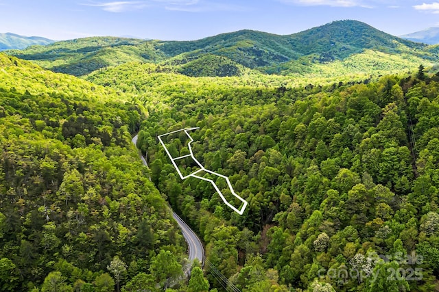 83 Snowy Cove Ln, Black Mountain, NC 28711 - mountain view with a forest