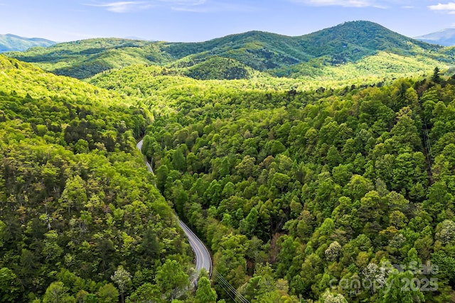 83 Snowy Cove Ln, Black Mountain, NC 28711 - view of mountain backdrop featuring a forest
